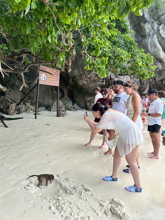 Gallery image for Phi Phi + Maya + Bamboo Island By Power Catamaran (Premium)