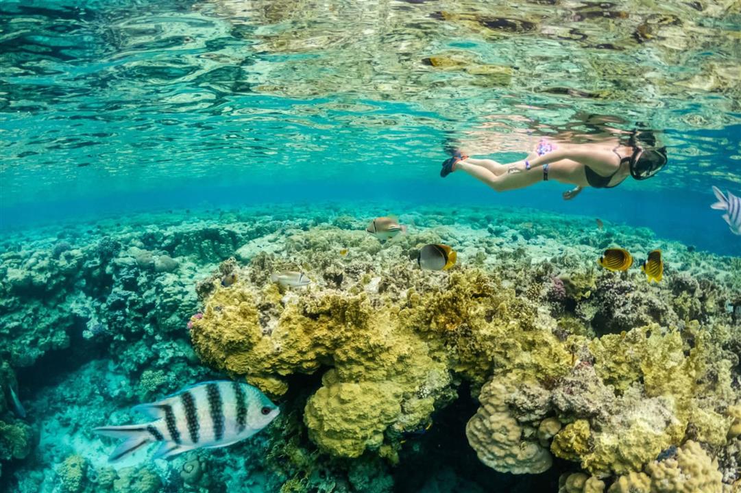 Gallery image for Racha + Coral Island By Speed Boat