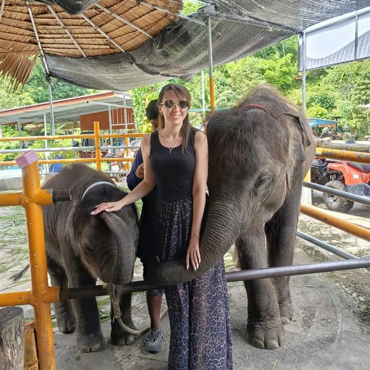 Gallery image for ATV / Big Buddha Viewpoint / Elephant Feeding