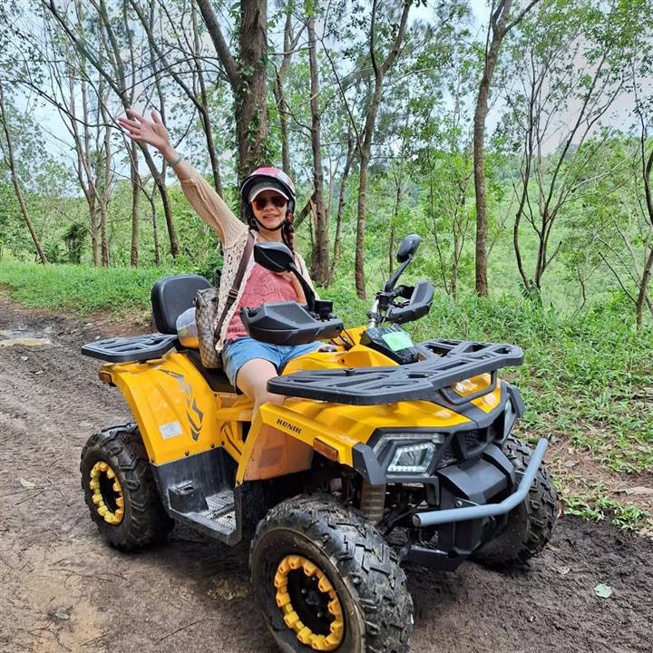 Gallery image for ATV / Big Buddha Viewpoint / Elephant Feeding