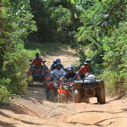 Gallery image for ATV / Big Buddha Viewpoint / Elephant Feeding