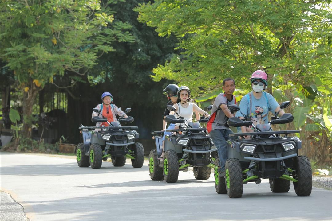 Gallery image for ATV / Big Buddha Viewpoint / Elephant Feeding
