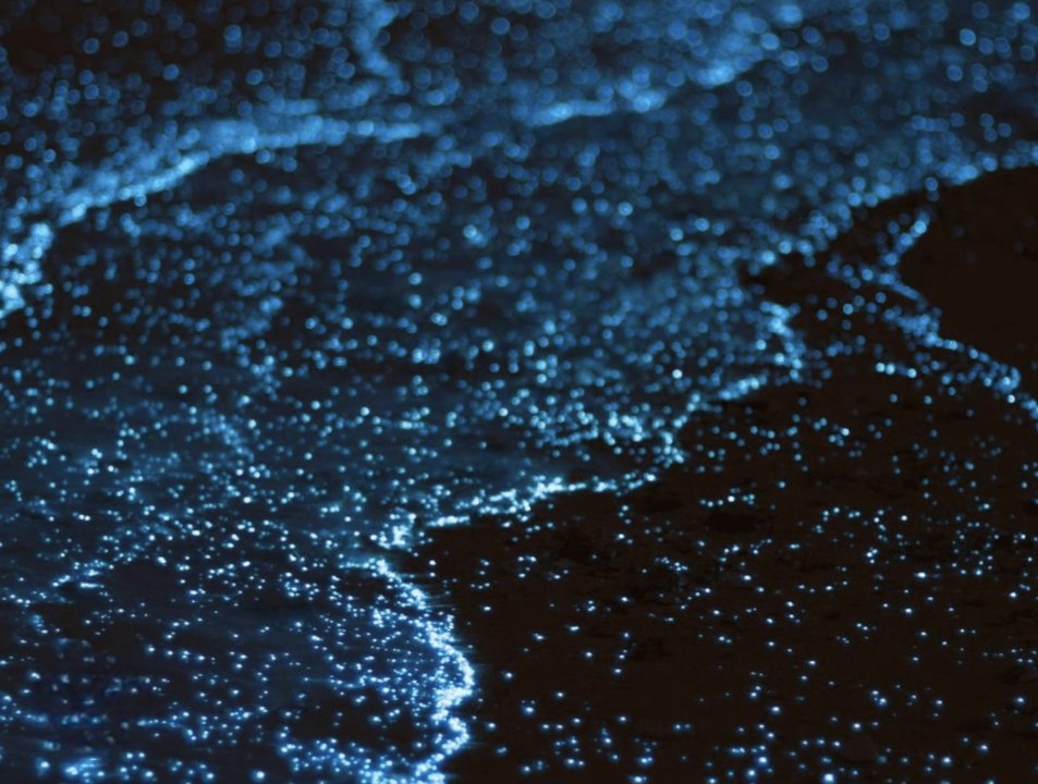 Gallery image for John Gray's Sea Canoe * Hong by Starlight