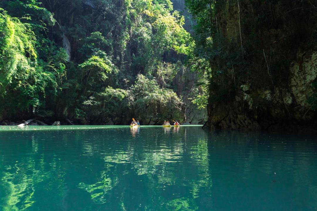 Gallery image for John Gray's Sea Canoe * Hong by Starlight
