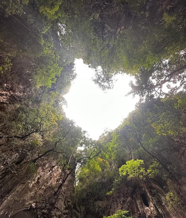 Gallery image for John Gray's Sea Canoe * Hong by Starlight