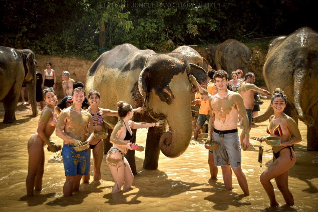 Gallery image for Elephant Jungle Sanctuary Phuket