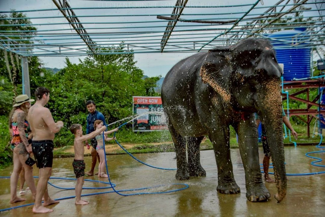 Gallery image for Elephant Jungle Sanctuary Phuket