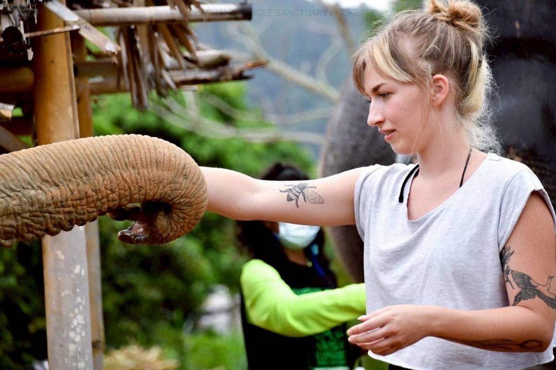 Gallery image for Elephant Jungle Sanctuary Phuket