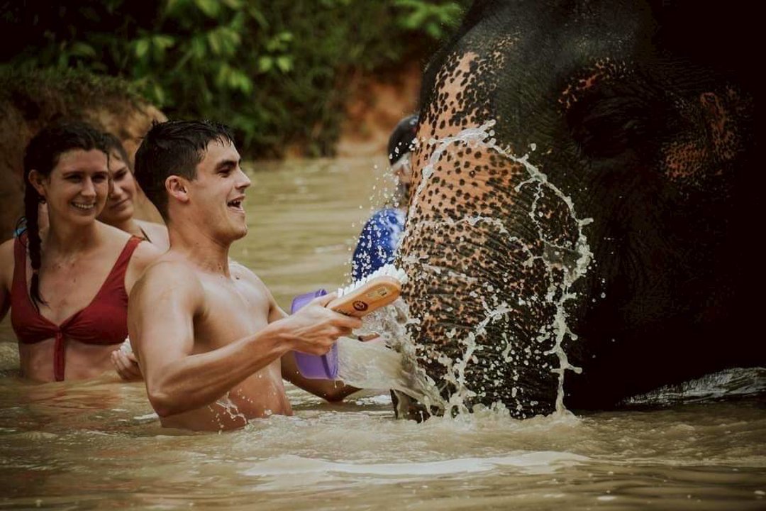 Gallery image for Elephant Jungle Sanctuary Phuket