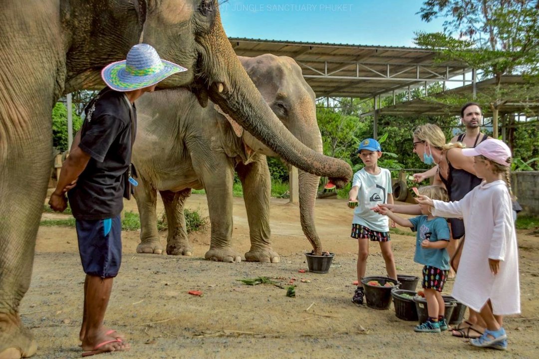 Gallery image for Elephant Jungle Sanctuary Phuket