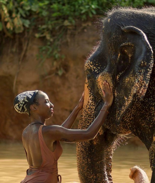 Gallery image for Elephant Jungle Sanctuary Phuket