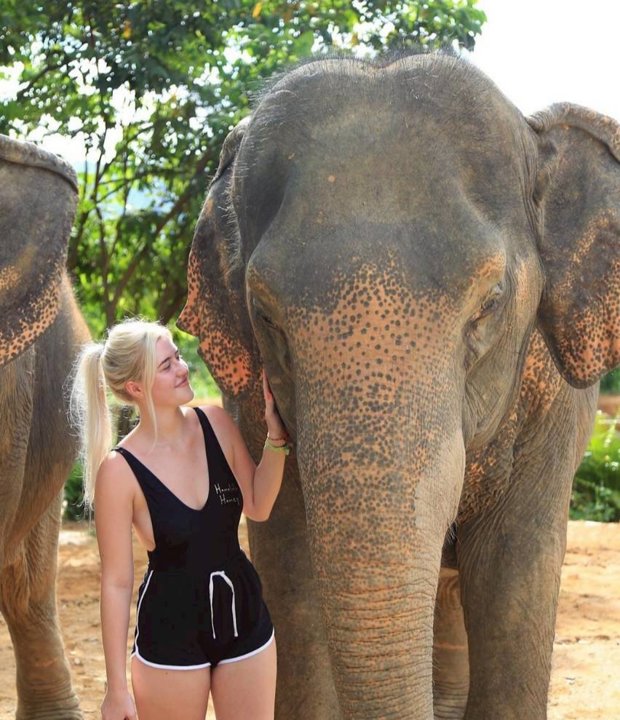 Gallery image for Elephant Jungle Sanctuary Phuket