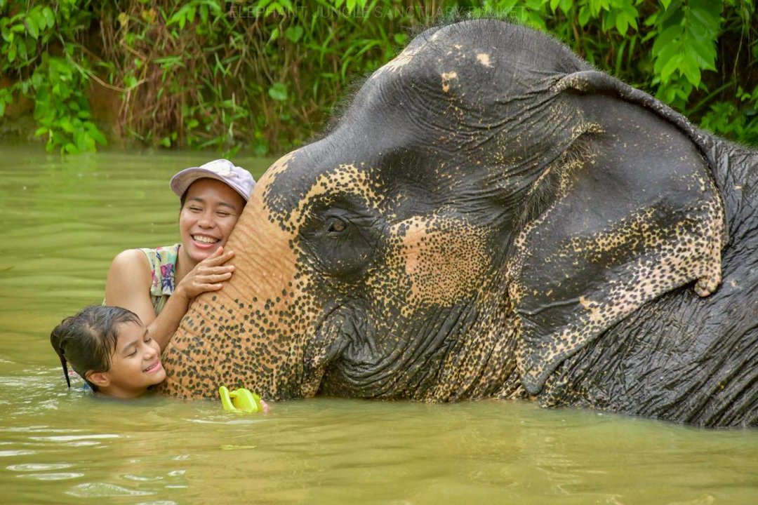 Gallery image for Elephant Jungle Sanctuary Phuket