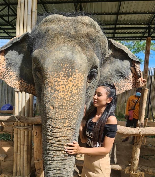 Gallery image for Elephant Jungle Sanctuary Phuket