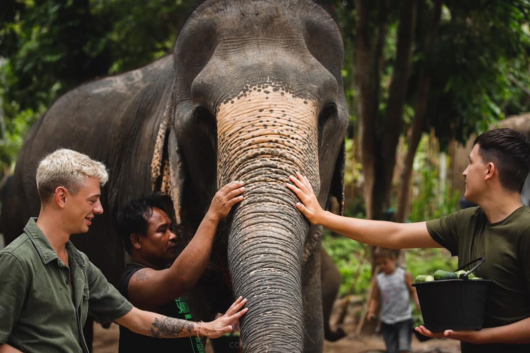 Gallery image for Elephant Jungle Sanctuary Phuket