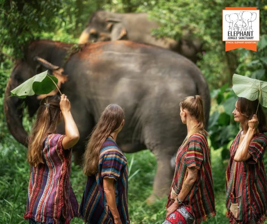 Gallery image for Elephant Jungle Sanctuary Phuket