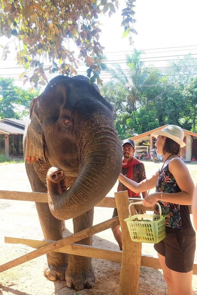 Gallery image for Mega 1: Khao Sok & Cheowlan One day trip