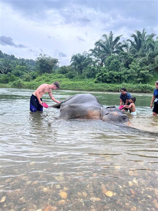 Gallery image for Mega 1: Khao Sok & Cheowlan One day trip