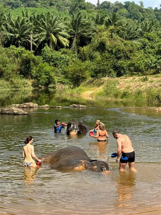 Gallery image for Mega 1: Khao Sok & Cheowlan One day trip