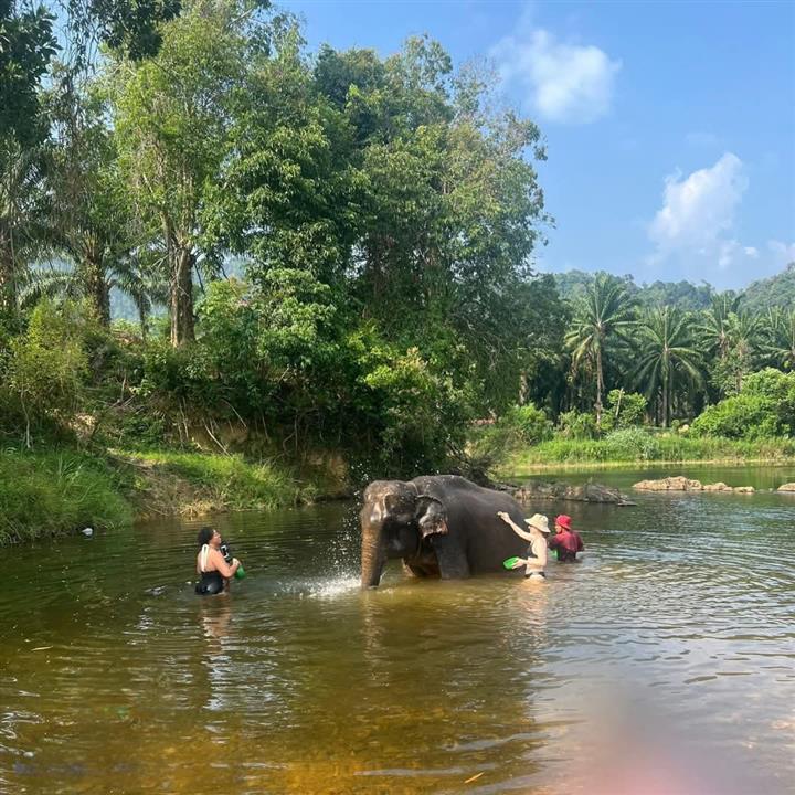 Gallery image for Mega 2: Khao Sok & Cheowlan 2 Days 1 Night