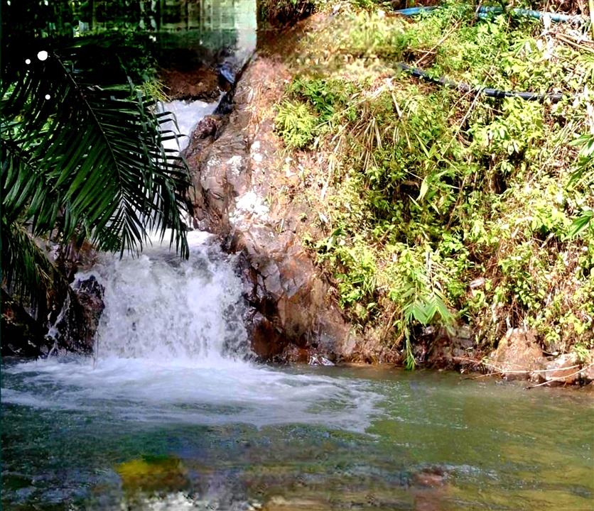 Gallery image for Rafting + Zipline 10 Platforms