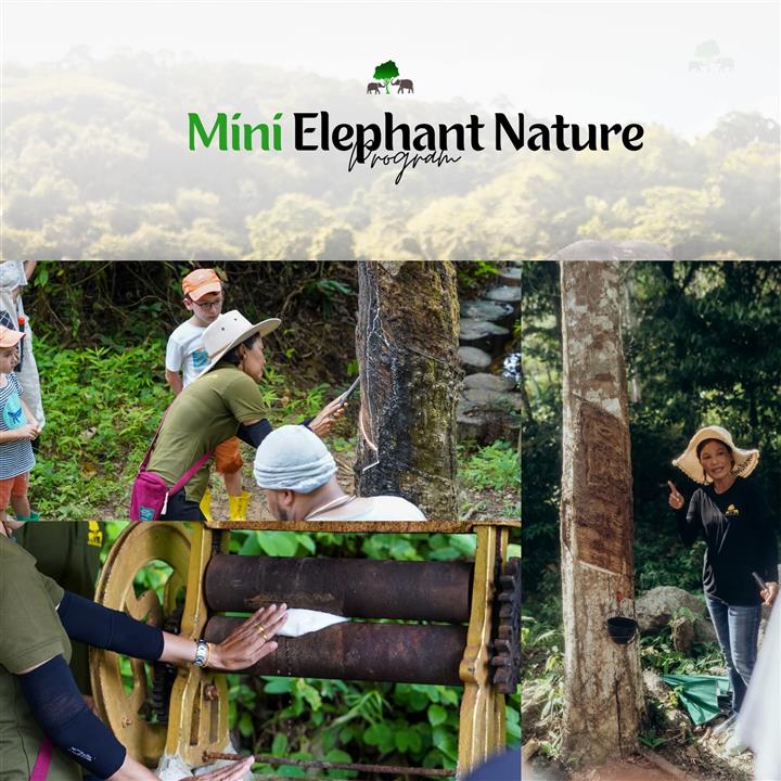 Gallery image for Bukit Elephant Park