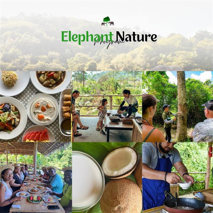 Gallery image for Bukit Elephant Park