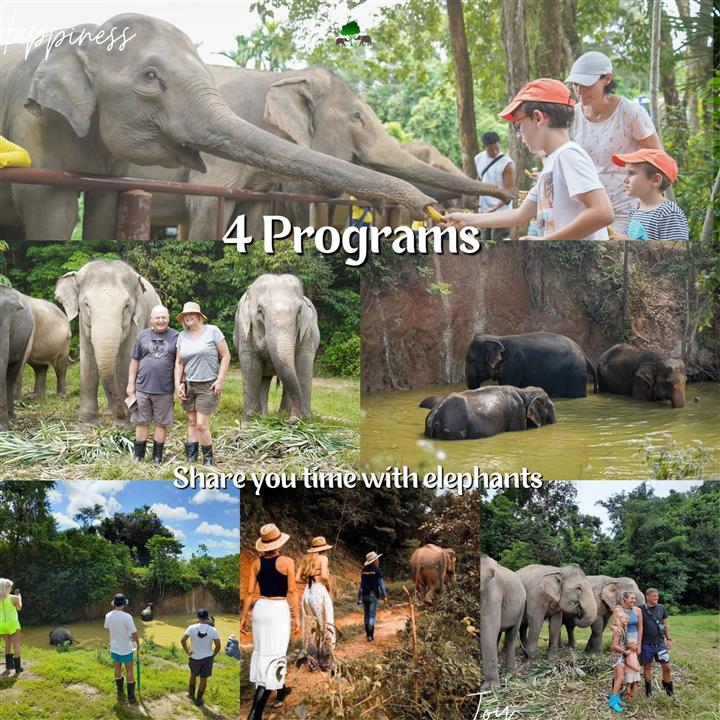 Gallery image for Bukit Elephant Park