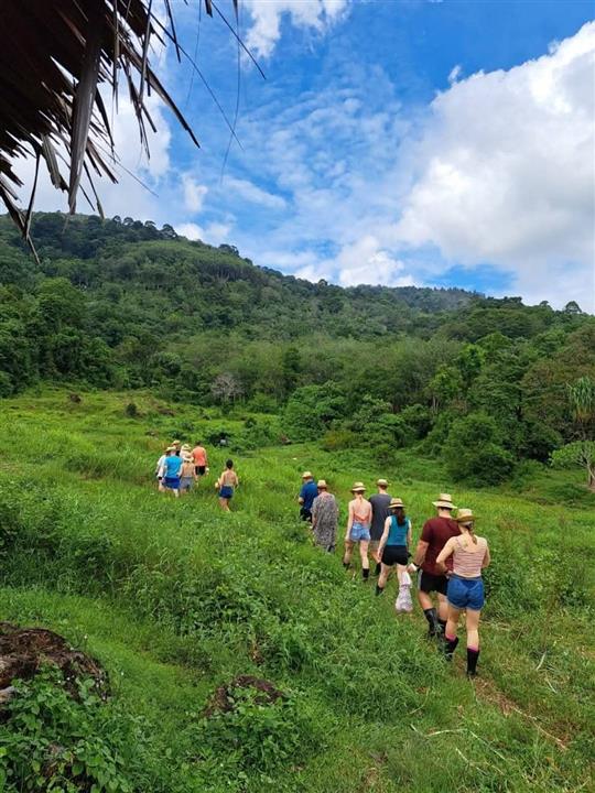 Gallery image for Bukit Elephant Park