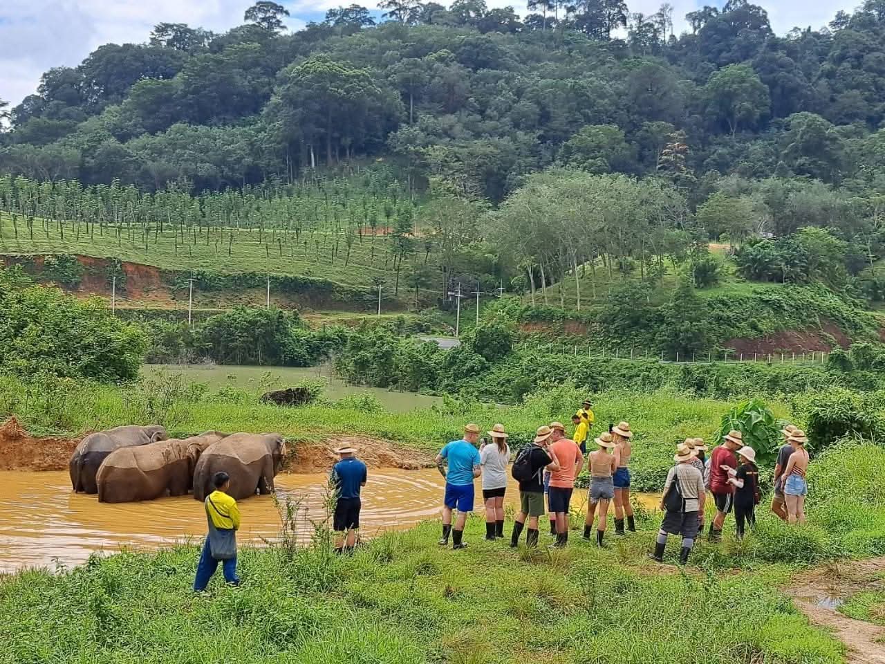 Gallery image for Bukit Elephant Park