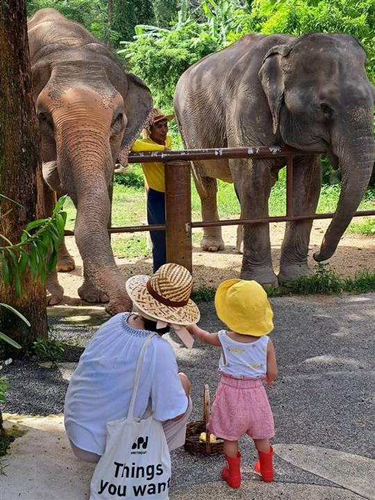 Gallery image for Bukit Elephant Park