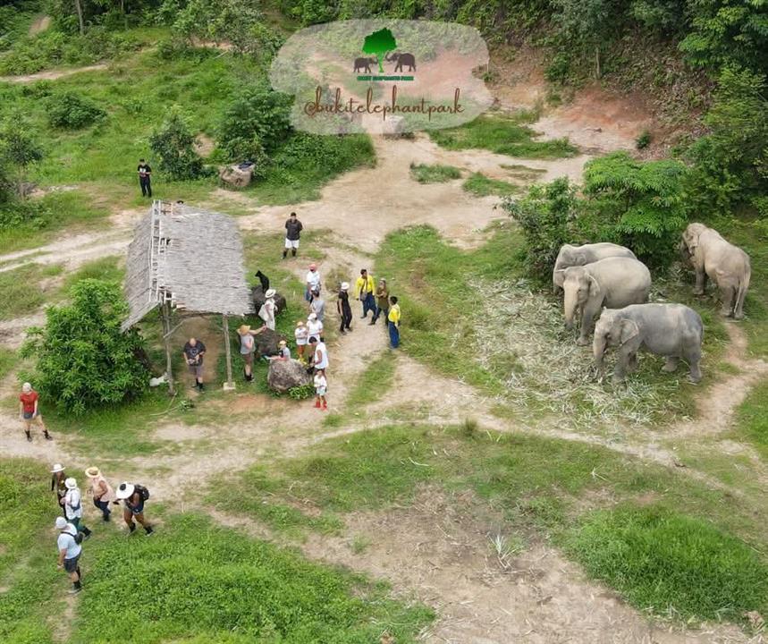 Gallery image for Bukit Elephant Park