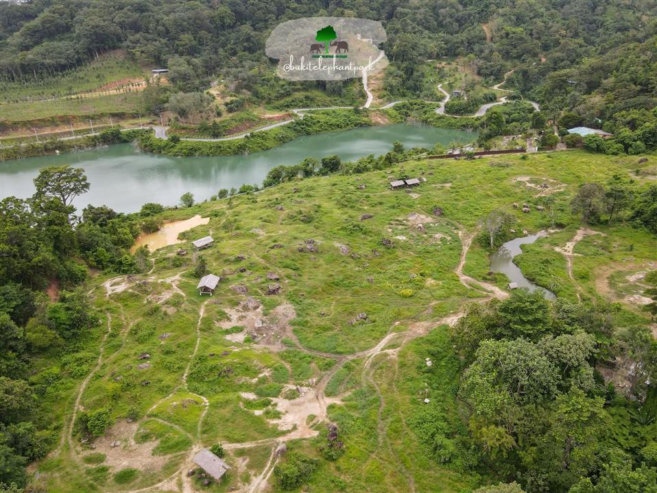 Gallery image for Bukit Elephant Park