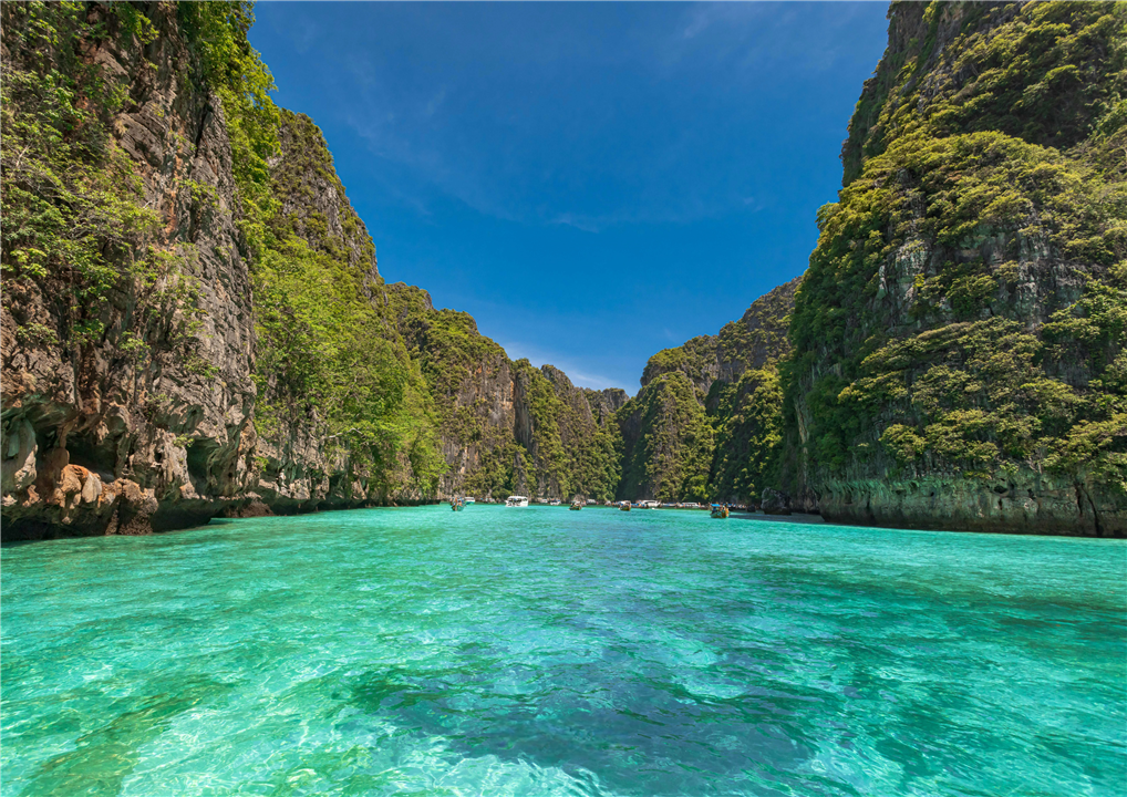 Gallery image for Phi Phi + Maya + Khai by Speed boat (Standard)