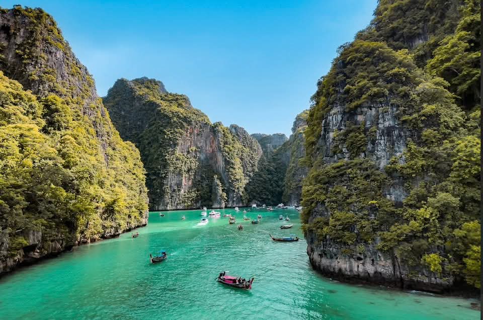 Gallery image for Phi Phi + Maya + Khai by Speed boat (Standard)