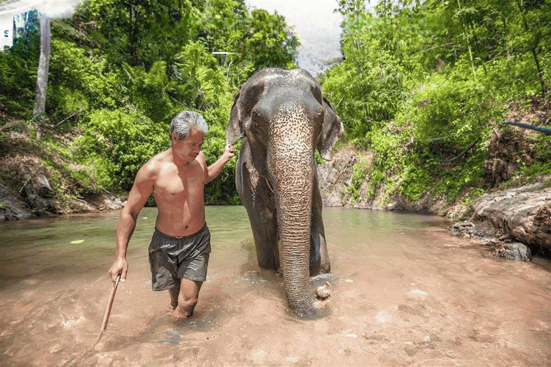 Gallery image for Bamboo Rafting