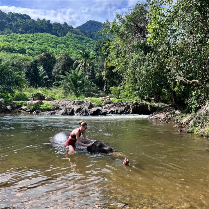 Gallery image for Bamboo Rafting