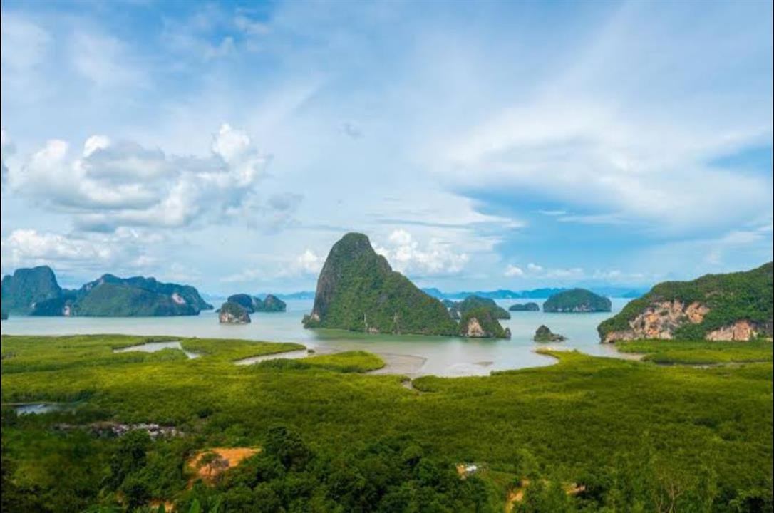 Gallery image for Bamboo Rafting