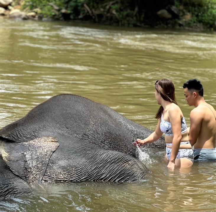 Gallery image for Bamboo Rafting