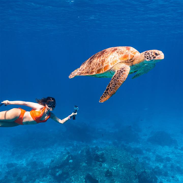 Gallery image for Similan Islands By Speed Boat
