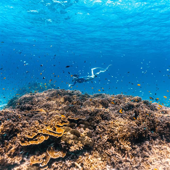 Gallery image for Similan Islands By Speed Boat