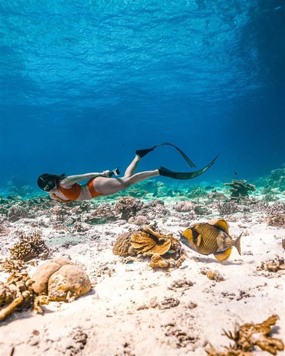 Gallery image for Similan Islands By Speed Boat