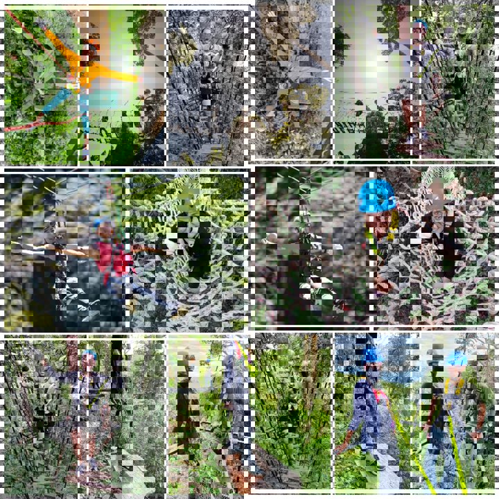 Gallery image for Zipline / ATV / Elephant Bathing