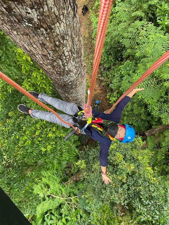 Gallery image for Zipline / ATV / Elephant Bathing