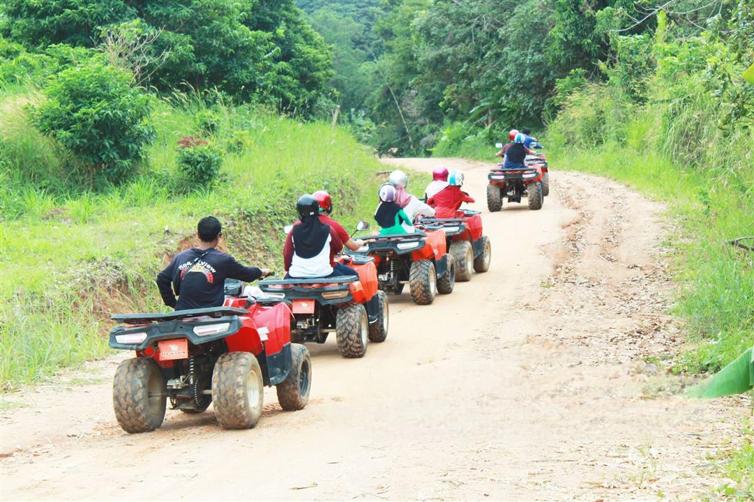 Gallery image for Zipline / ATV / Elephant Bathing