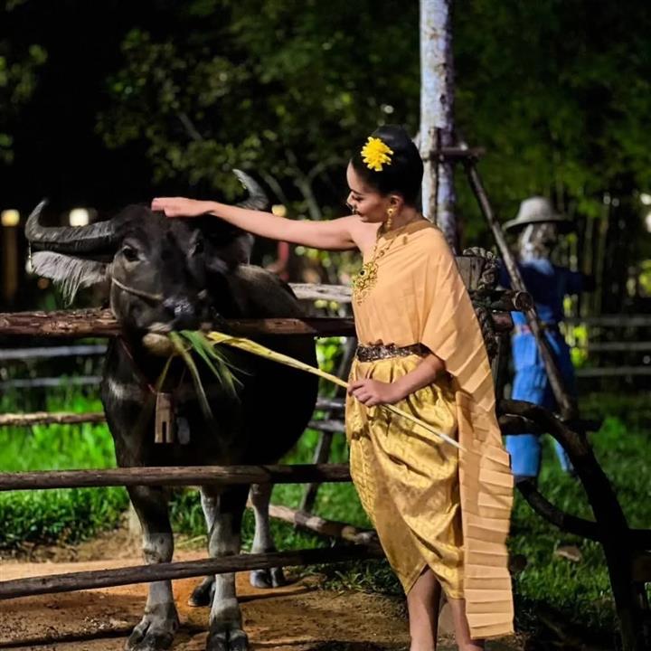 Gallery image for Siam Niramit Phuket