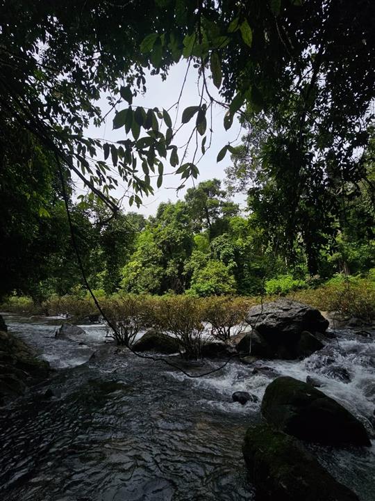 Gallery image for Mega 3: Khao Sok & Cheowlan Over Night 