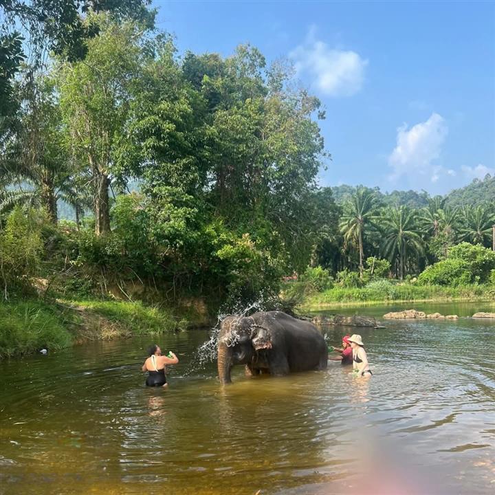 Gallery image for Mega 3: Khao Sok & Cheowlan Over Night 