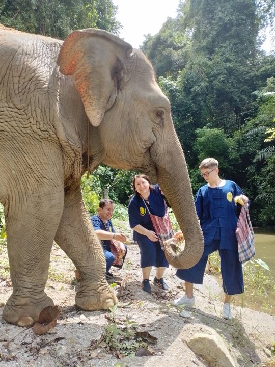 Gallery image for Rafting & Elephant Care By Anda Adventure