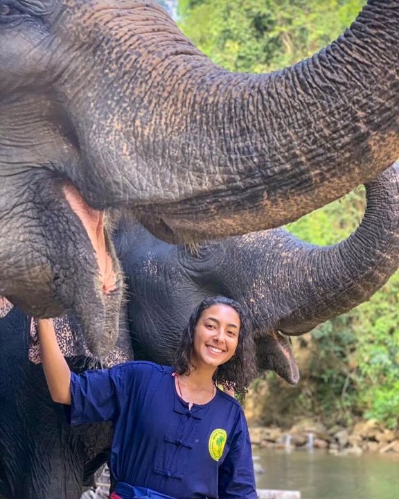 Gallery image for Rafting & Elephant Care By Anda Adventure